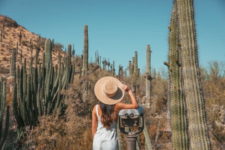 Photo-Worthy Places in Tempe