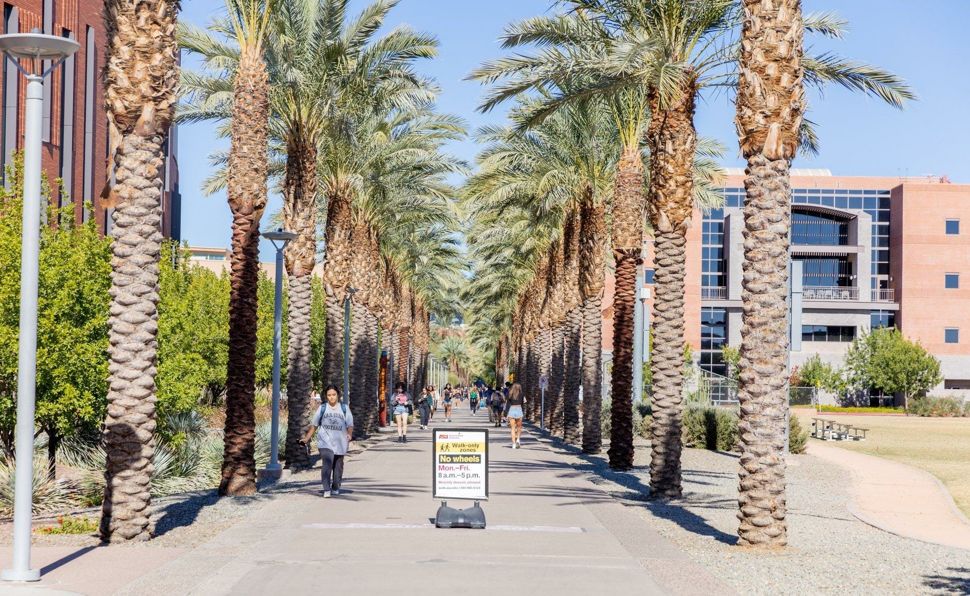 Students and visitors walking along ASU Palm Walk