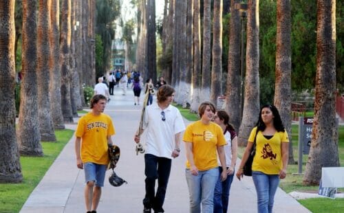 ASU Tempe Campus Palm Walk