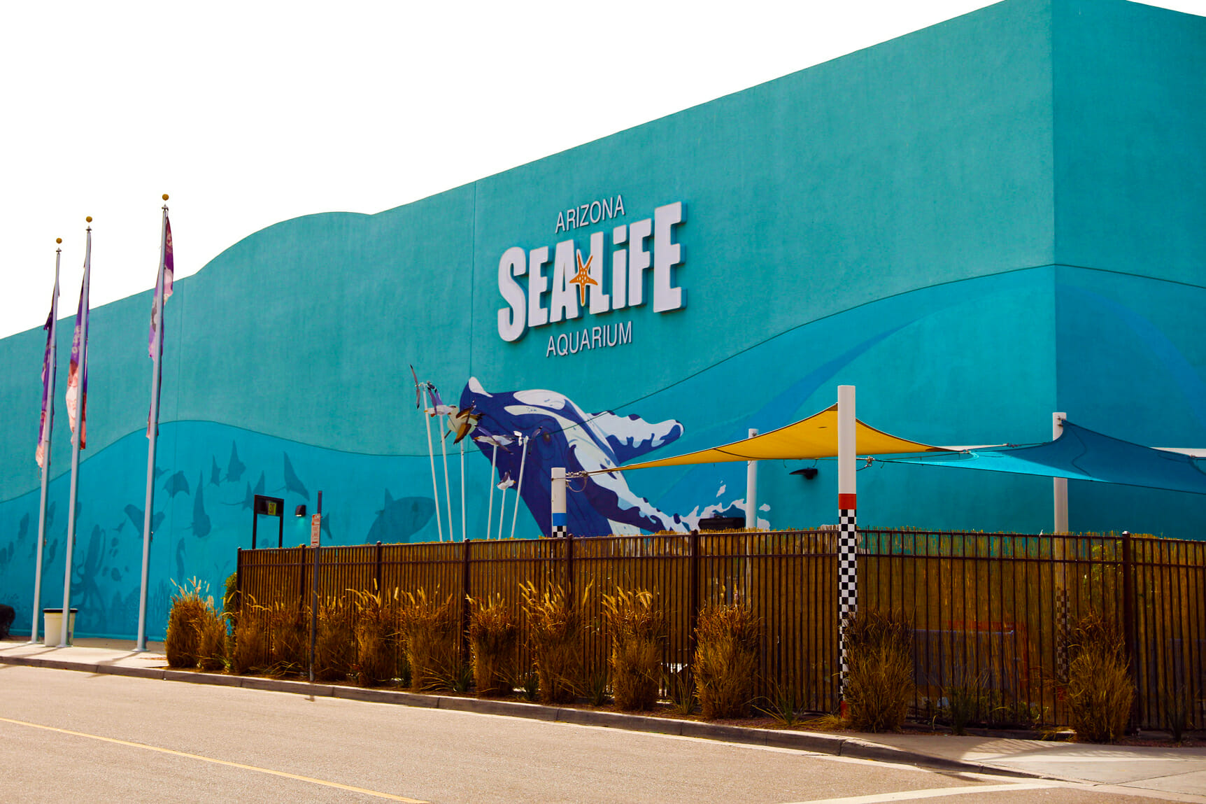 Join Peppa Pig on her Aquarium Adventure Tempe Tourism