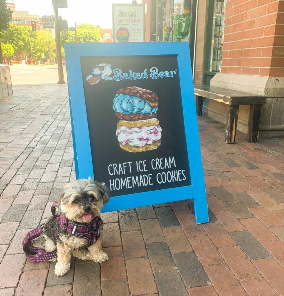 Baked Bear in Downtown Tempe
