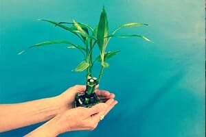 CSR Meeting Planner blog