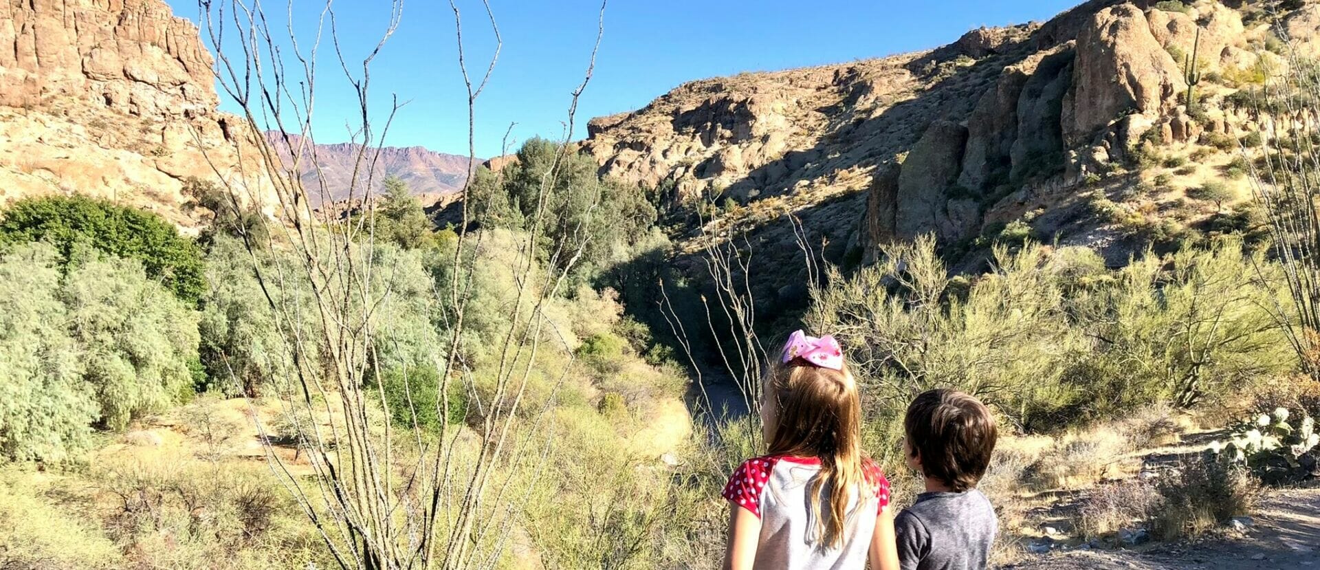 Boyce Thompson Arboretum