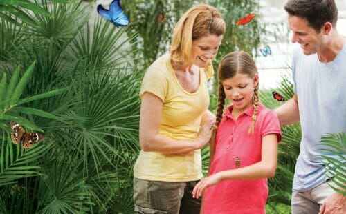 Butterfly Wonderland family with butterflies