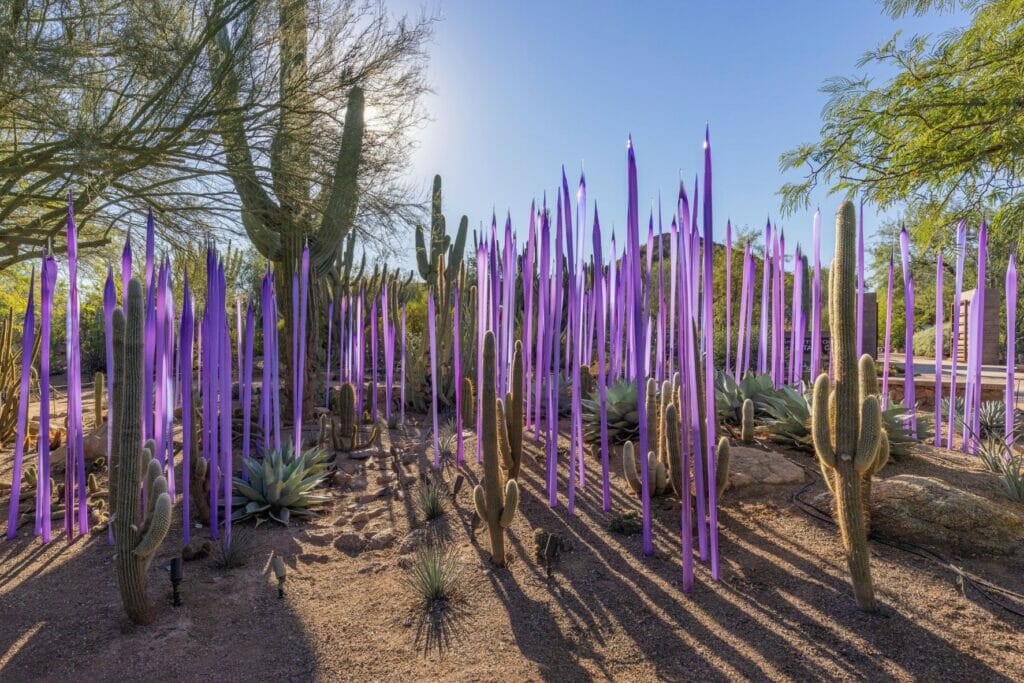 Chihuly in the Desert at Desert Botanical Garden web2