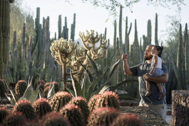 Father’s Day at Desert Botanical Garden
