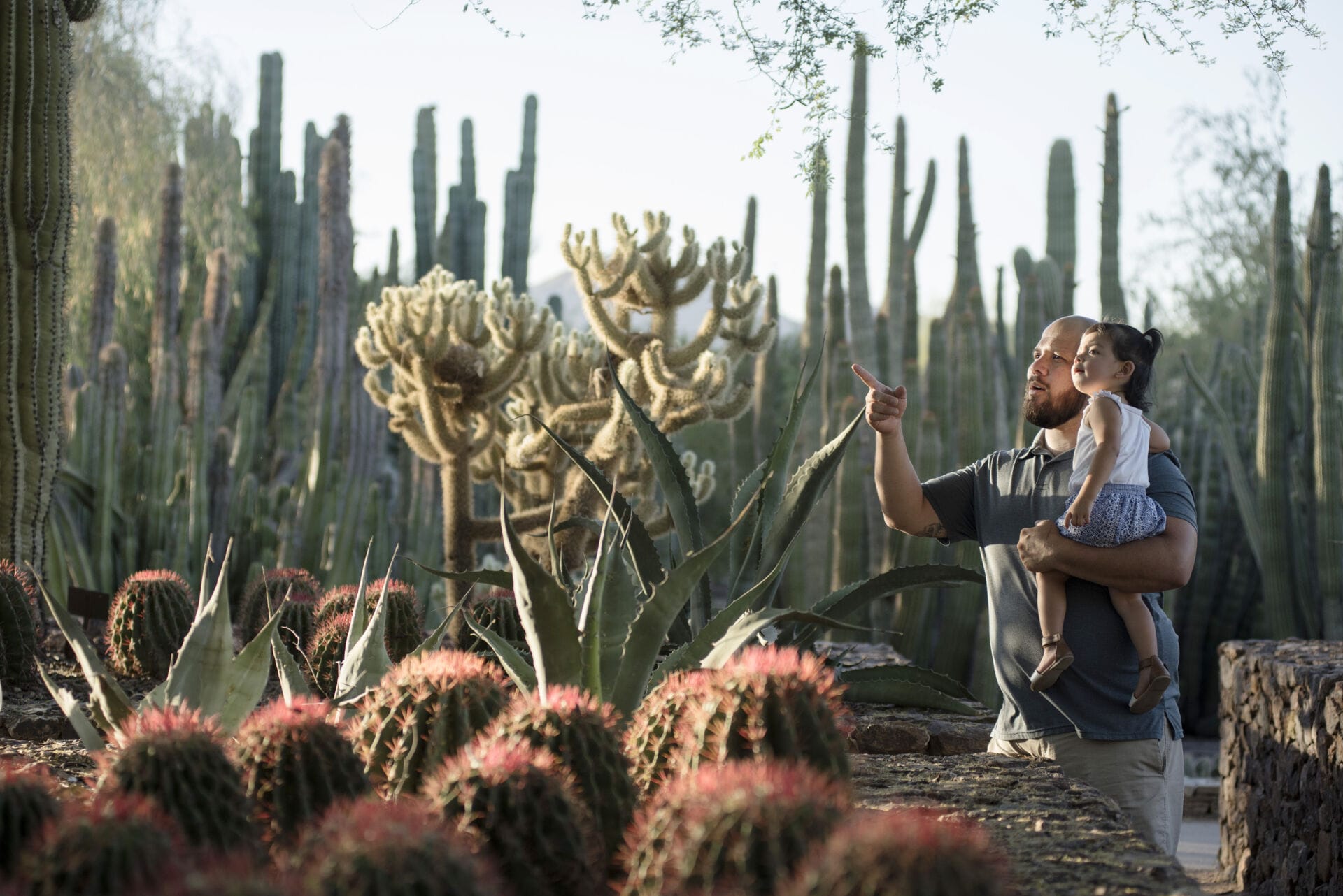 Father’s Day at Desert Botanical Garden