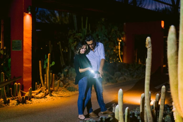 Flashlight Nights at Desert Botanical Garden