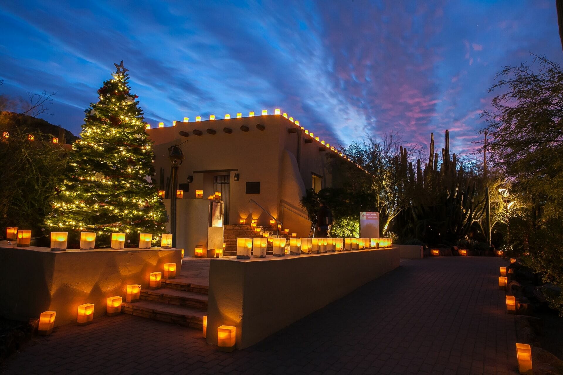 Desert Botanical Garden