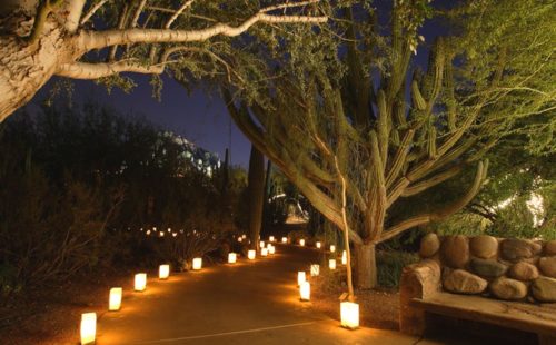 Tempe Fall Festivals You Won’t Want to Miss