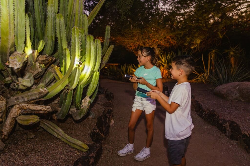 Flashlight Nights at DBG