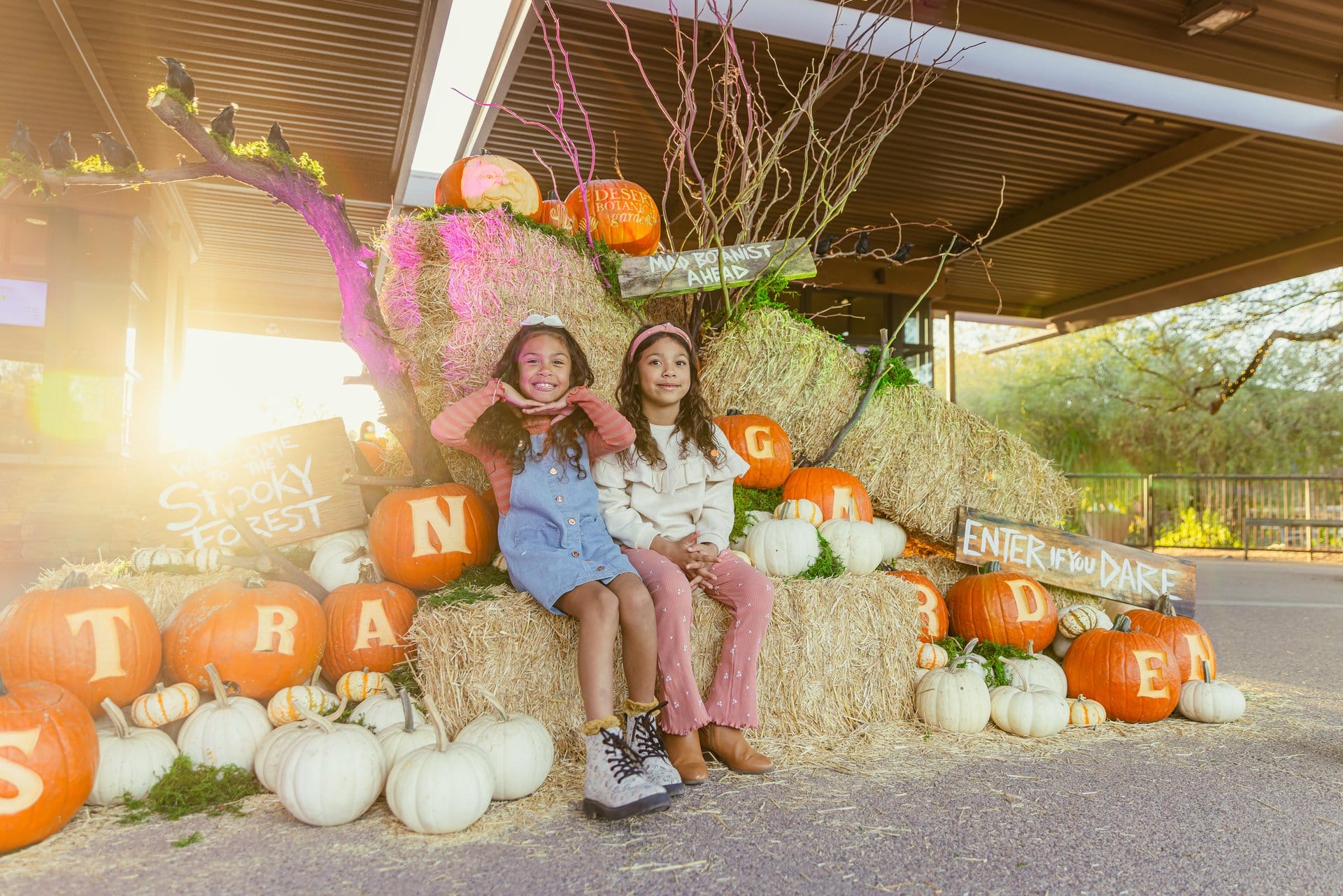 Kids sitting on hay bales with pumpkins at Strange Garden.