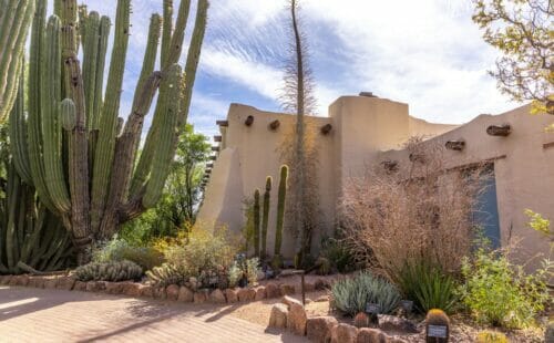 Desert Botanical Garden