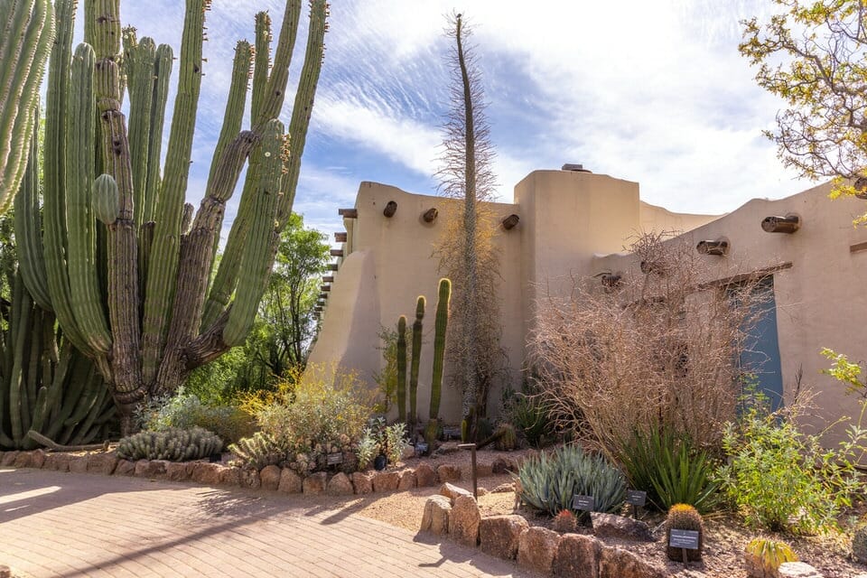 Desert Botanical Garden