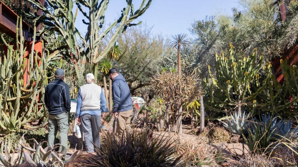 Desert Botanical Garden