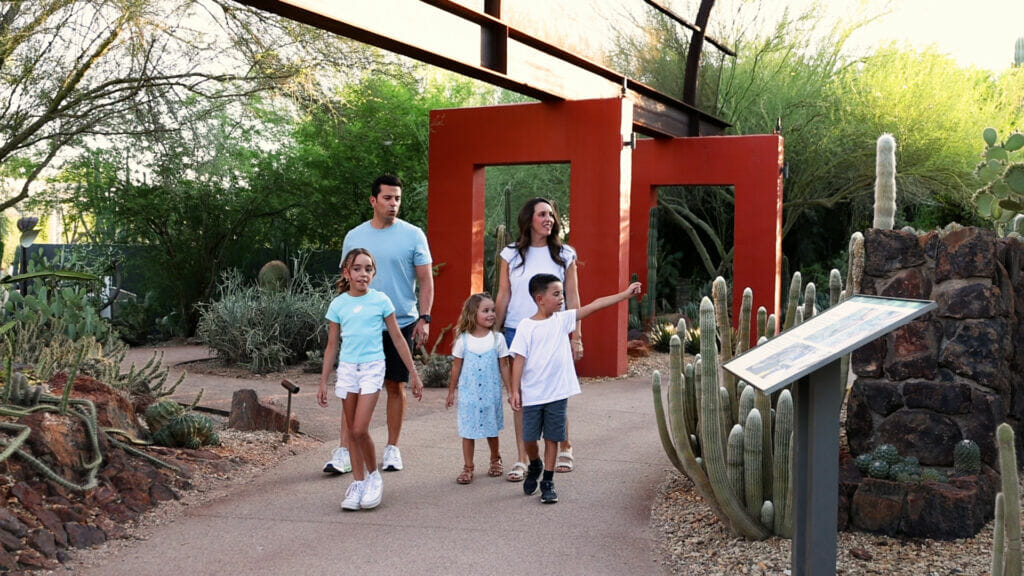 Desert Botanical Garden