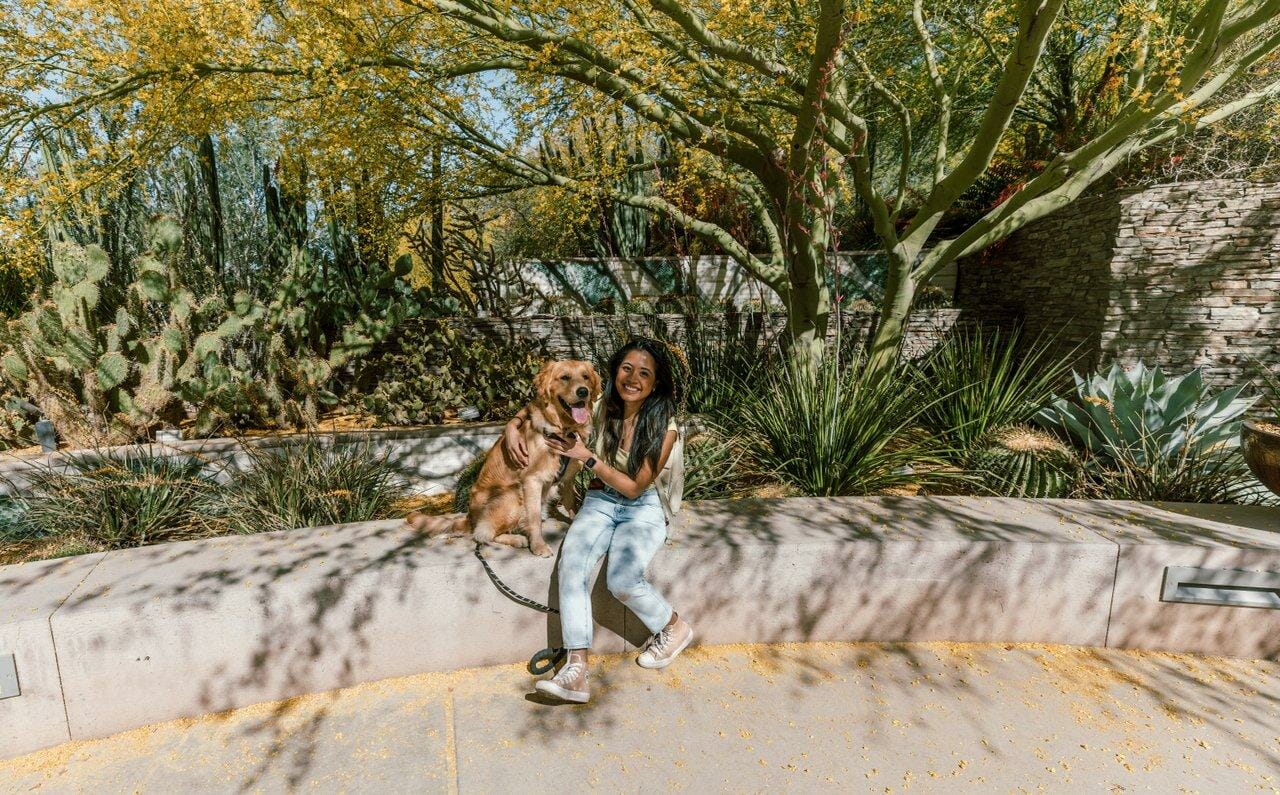 Dog Days at Desert Botanical Garden