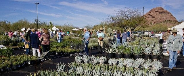 Dseert Botanical Garden Plant Sale