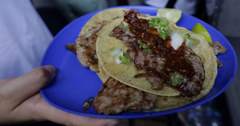El Califa de León Tempe Pop Up