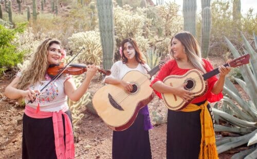Dia de Los Muertos at Desert Botanical Garden