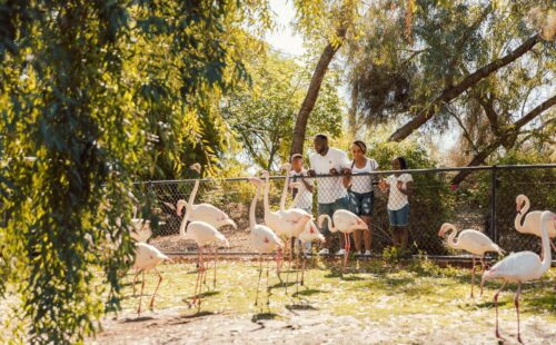 Family at Phoenix Zoo