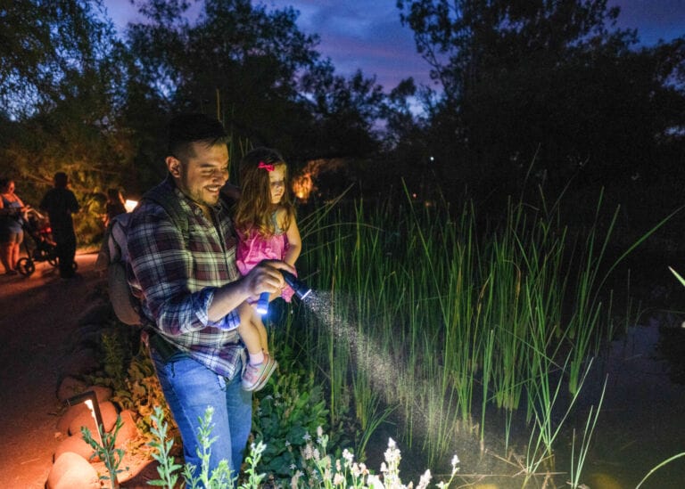 Father’s Day at Desert Botanical Garden