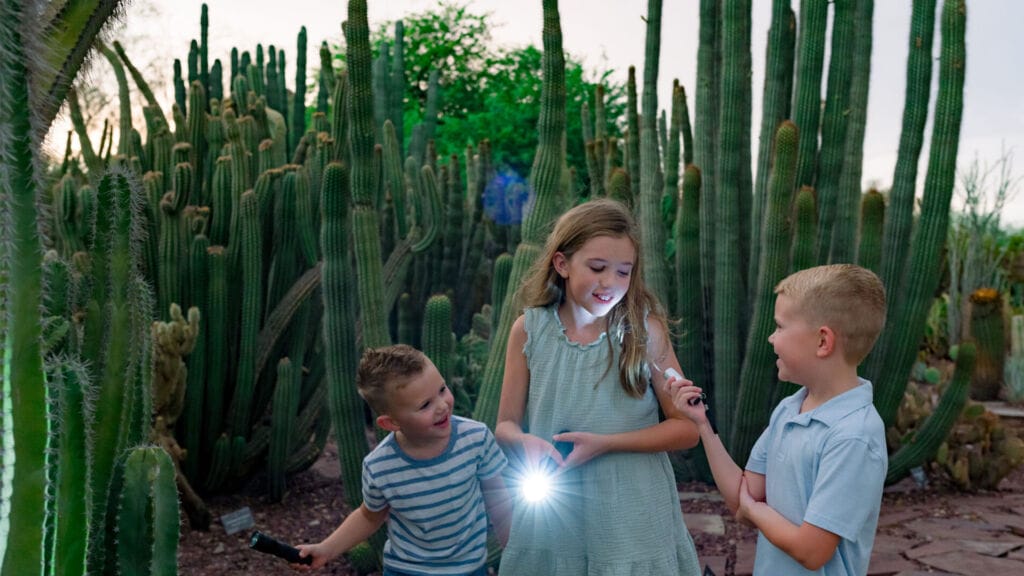Flashlight Nights at Desert Botanical Garden
