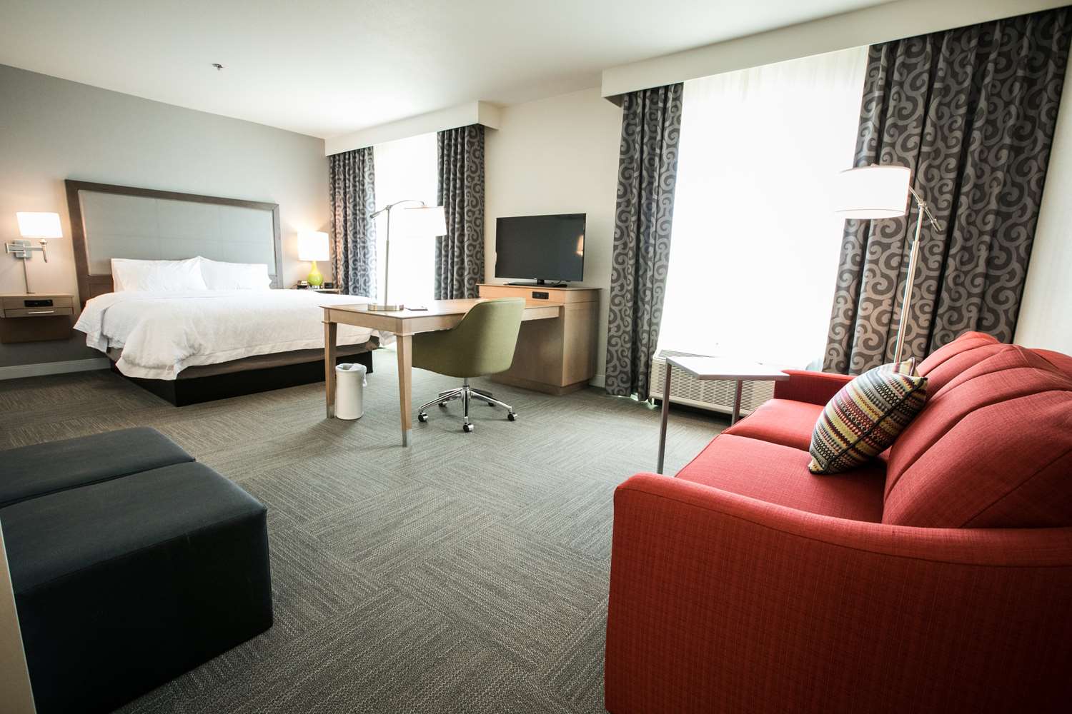 Hampton Inn + Suites Guest Room