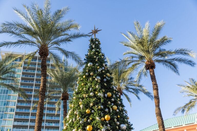 Things To Do in Tempe this Holiday Season