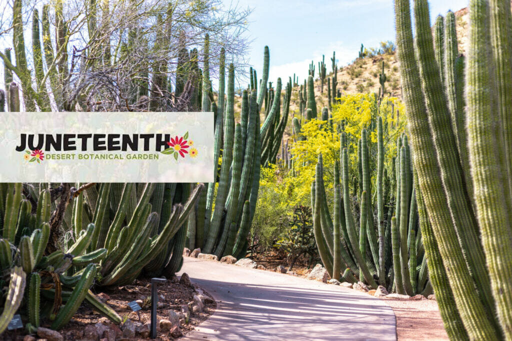 Juneteenth at Desert Botanical Garden