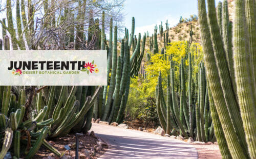 Juneteenth at Desert Botanical Garden