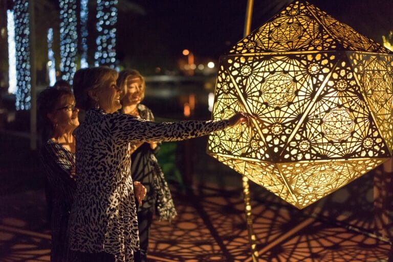 LIGHT BLOOM at Desert Botanical Garden