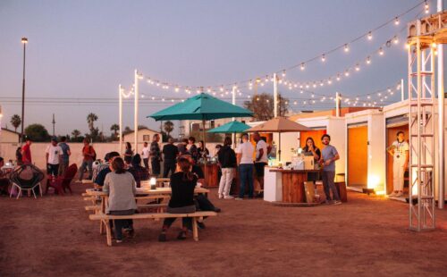 Little Cholla Tempe Market