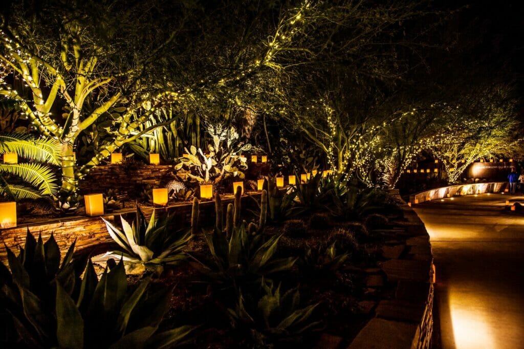Las Noches de las Luminarias at Desert Botanical Garden