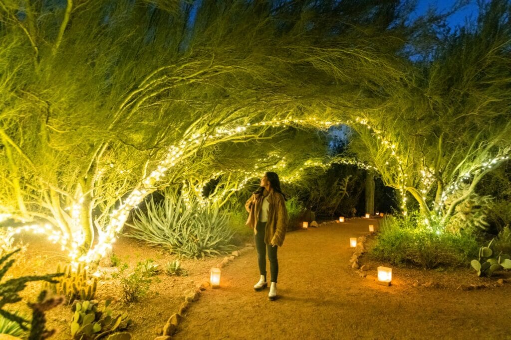 Las Noches De Luminarias at Desert Botanical Garden