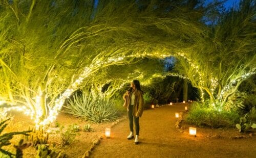 Las Noches De Luminarias at Desert Botanical Garden