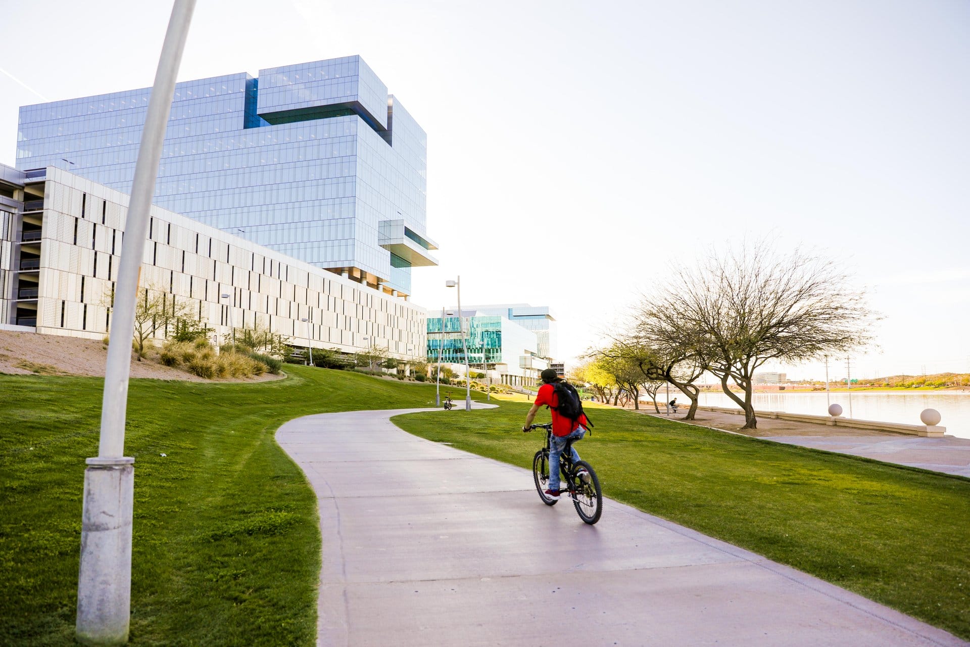 Person biking along Tempe Town Lake