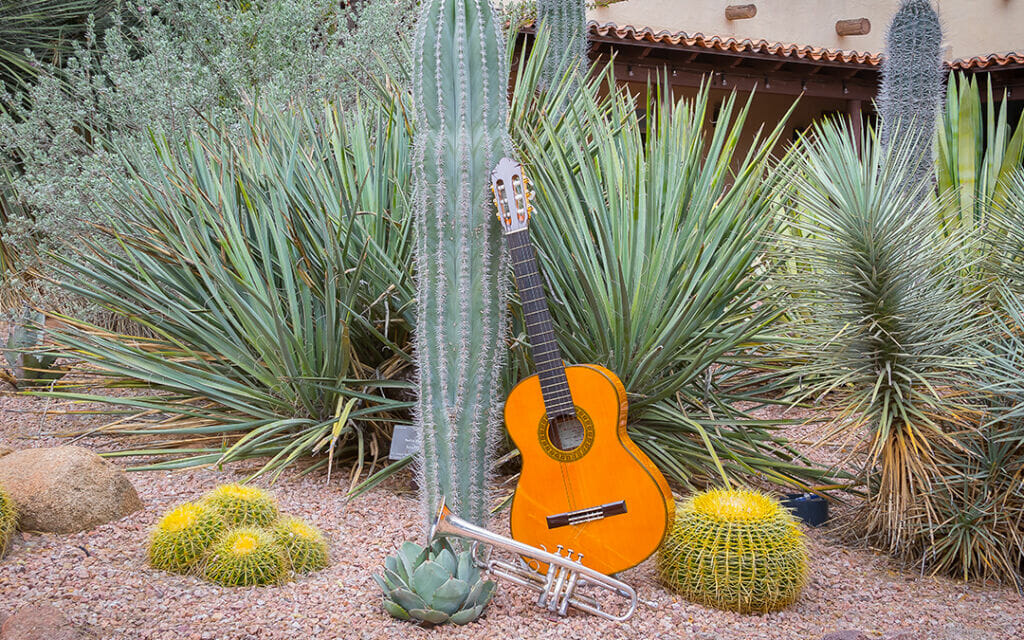 Music in the Garden