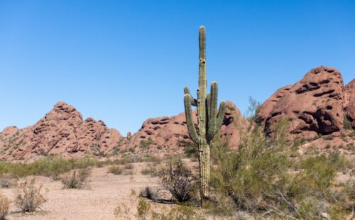 Papago Park