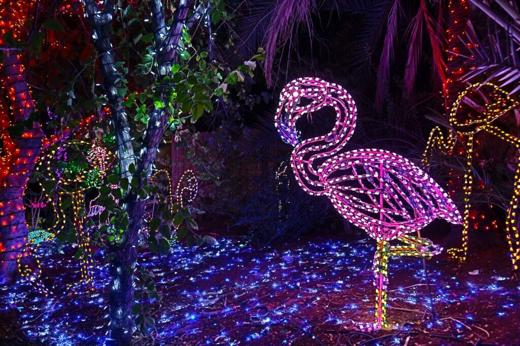 Phoenix Zoo ZooLights
