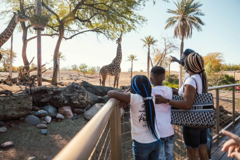 Top 20 Summer Activities in Tempe Tempe Tourism