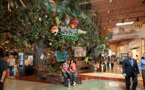 Rainforest Cafe at Arizona Mills