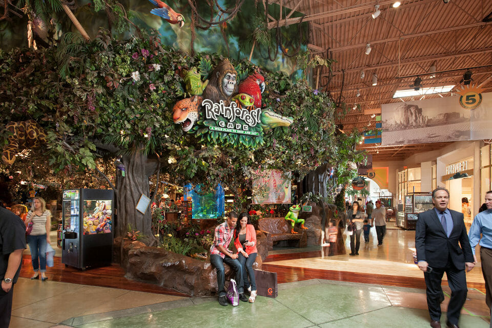 Rainforest Cafe at Arizona Mills