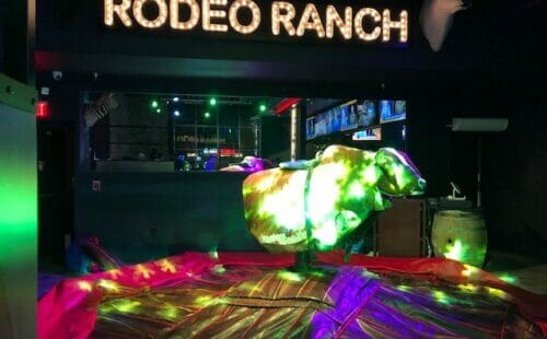 Rodeo Ranch Bull