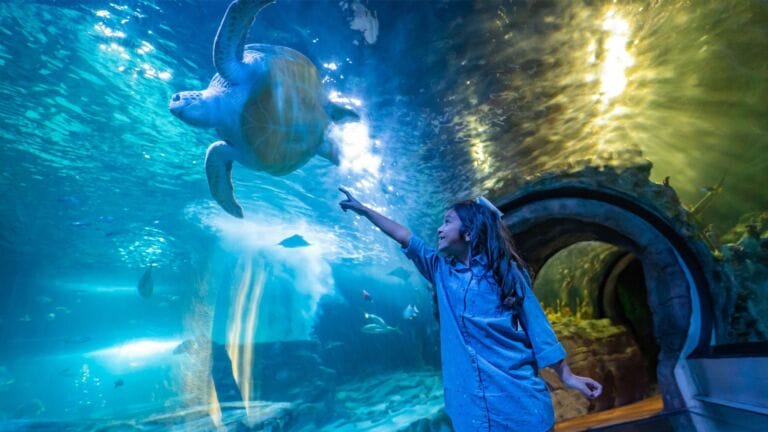 Sea Life Arizona Aquarium Events