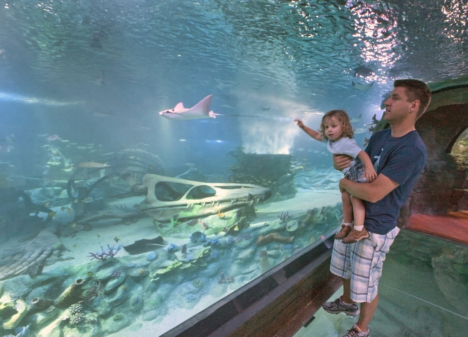 SEA LIFE Arizona Aquarium Photo by Michael Ging