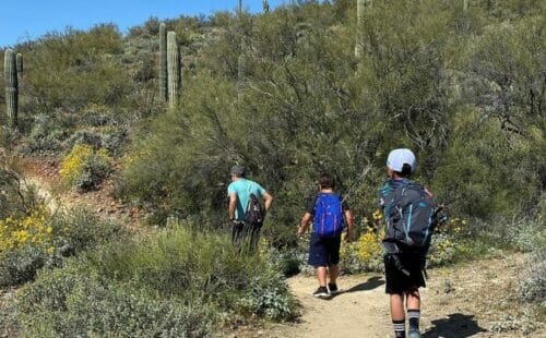 Scottsdale hiking trail