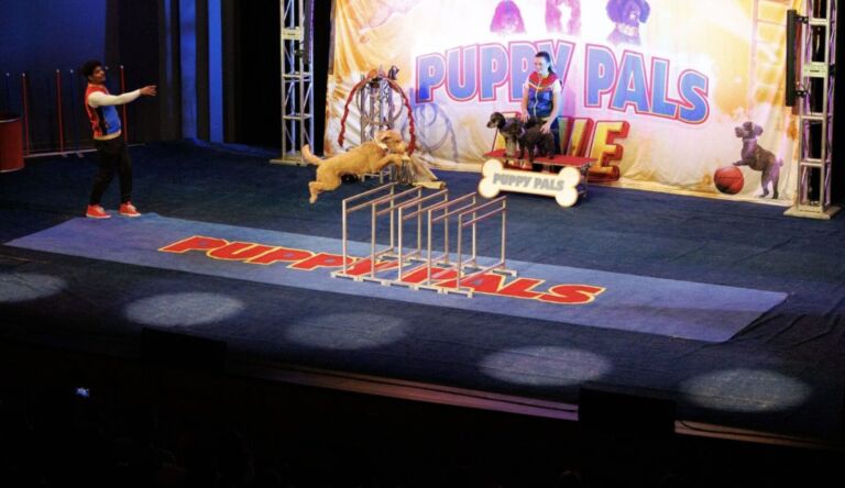 Tempe Center for the Arts Presents Puppy Pals LIVE!