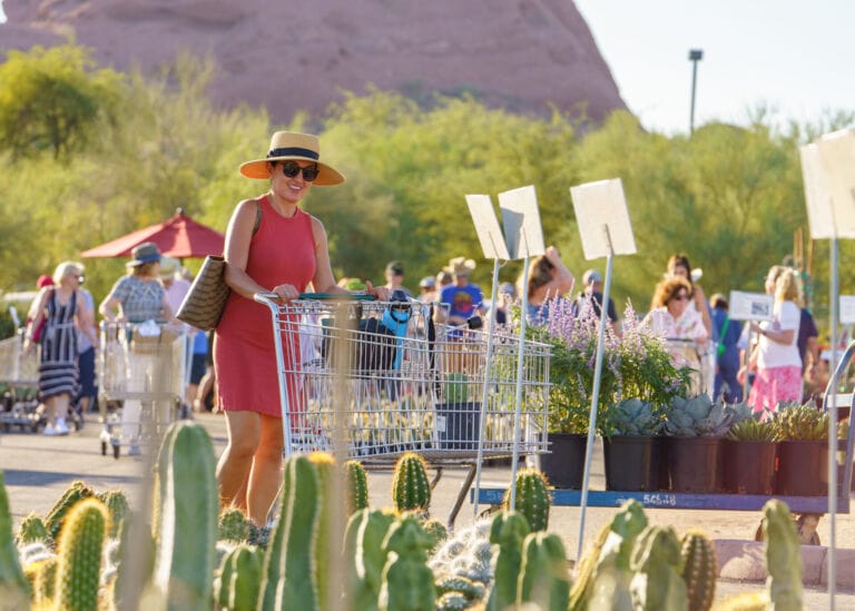 Desert Botanical Garden Spring Plant Sale