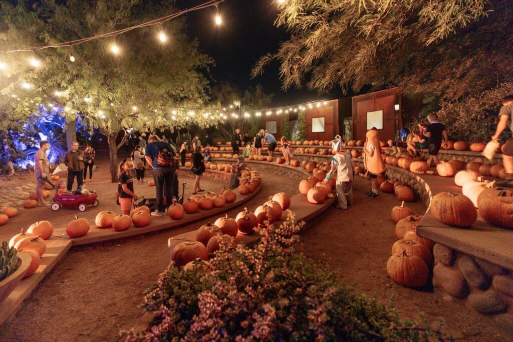 Strange Garden at Desert Botanical Garden